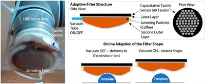 Online Morphological Adaptation for Tactile Sensing Augmentation